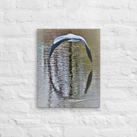 Flying bird with reflection - Canvas