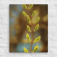 Young buds of leaves in sunlight - Canvas