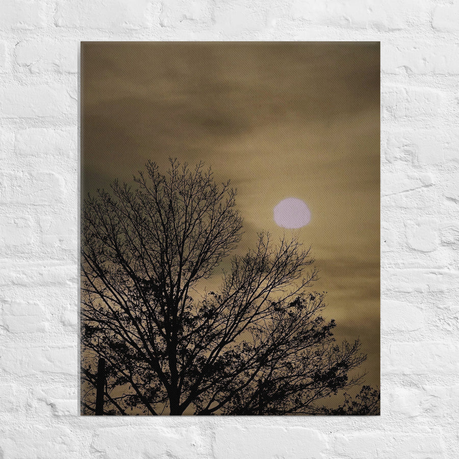 Morning sun and tree - Canvas
