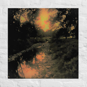 Forest creek at twilight - Canvas