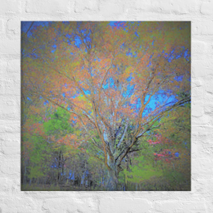 Impressions of tree in my backyard - Canvas