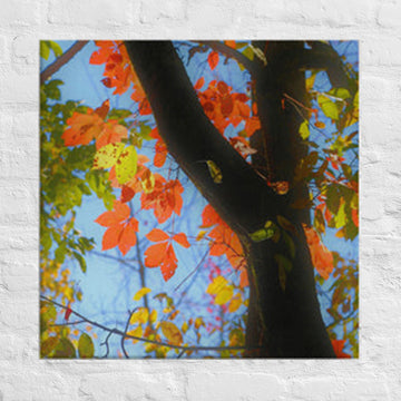 Red and yellow leaves - Canvas