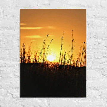 Sunset through tall grass in Flint Hills of Kansas - Canvas
