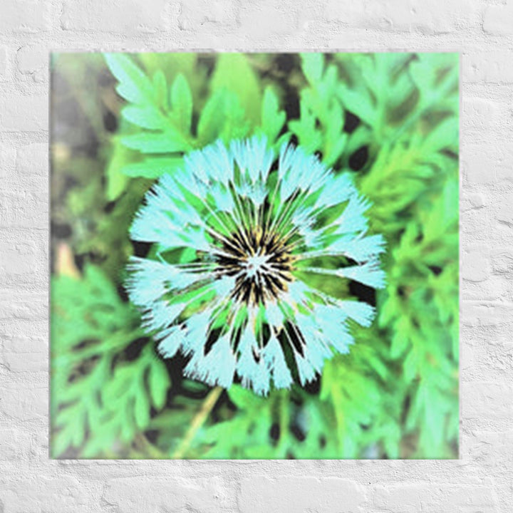 Dandelion bloom - Canvas