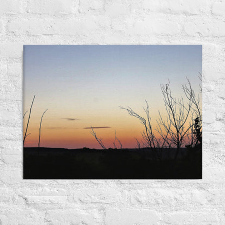 Sunset behind tops of trees in Flint Hills of Kansas - Canvas