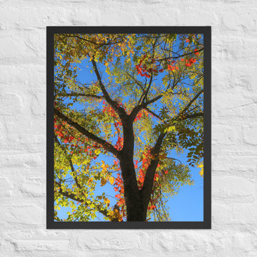 Fall has arrived! - Framed