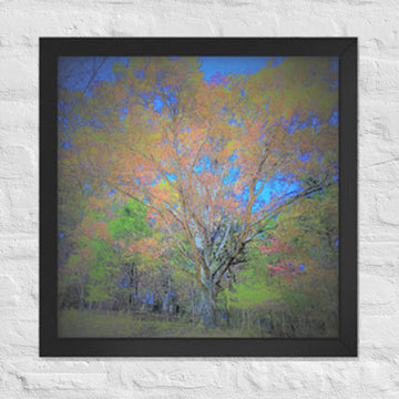 Impressions of tree in my backyard - Framed