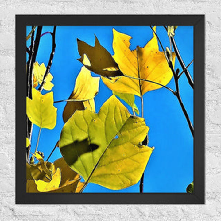 Leaves of different shapes and colors - Framed