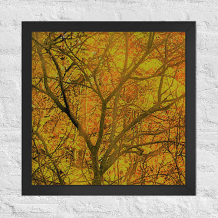 Fall colors behind bare tree - Framed