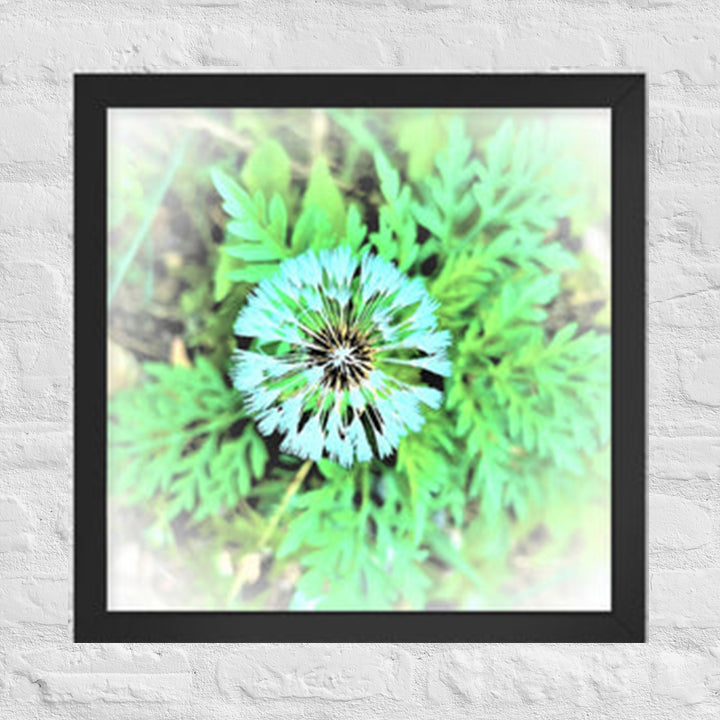 Dandelion bloom - Framed