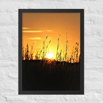 Sunset through tall grass in Flint Hills of Kansas - Framed