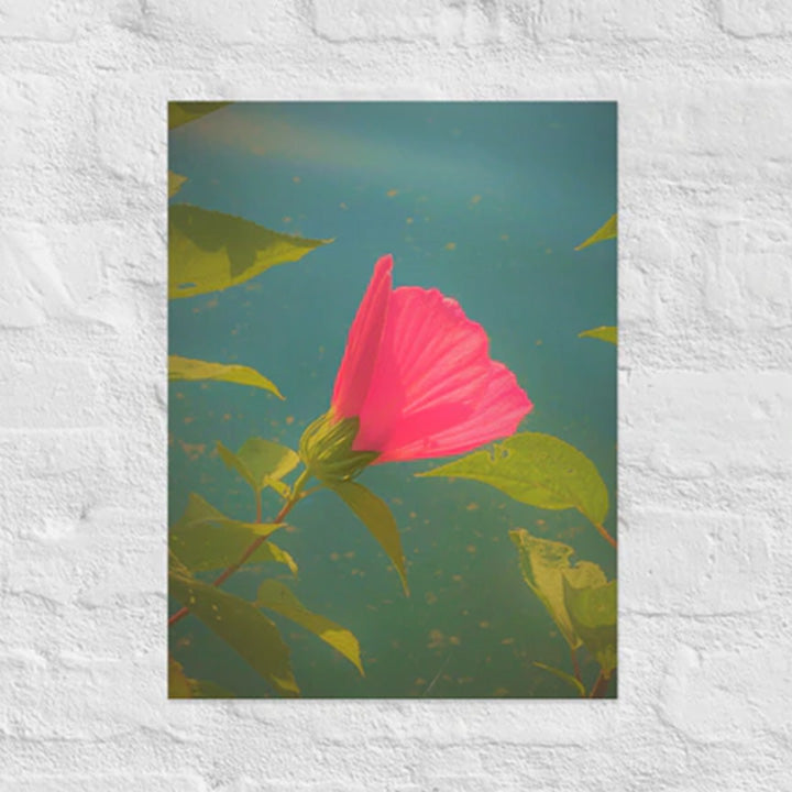 Flower and leaves floating in air - Unframed