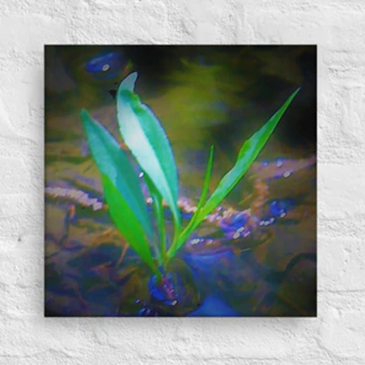 Blades of grass in a flood plain - Canvas
