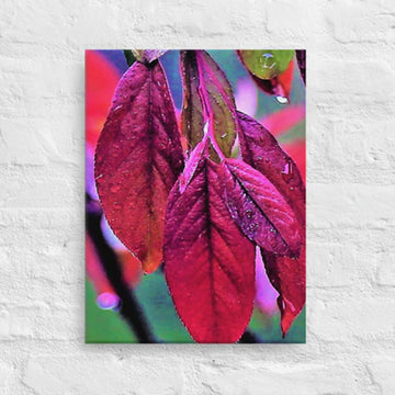Bright red leaves- Canvas