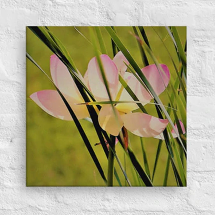 Flower with tall grass - Canvas