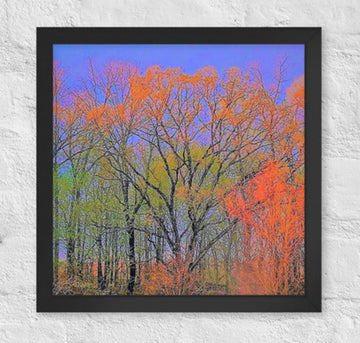 Many colors of Fall - Framed