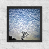 Tree top among clouds - Framed