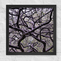 Twisted branches - Framed