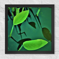 Two plants with reflections - Framed
