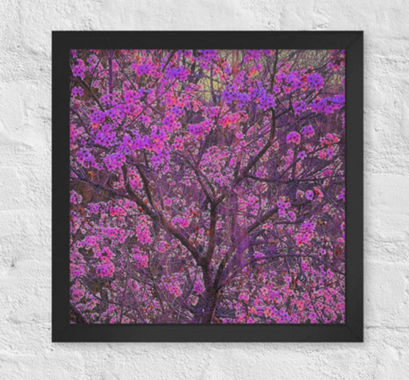 Flowering tree - Framed