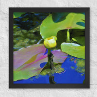 Floating yellow flower - Framed