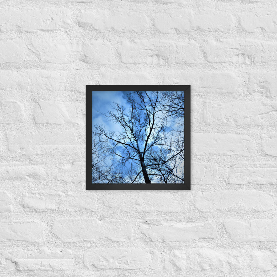 Branches against blue clouded sky - Framed
