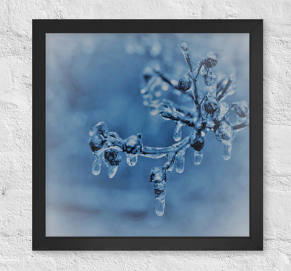 Ice on twigs - Framed