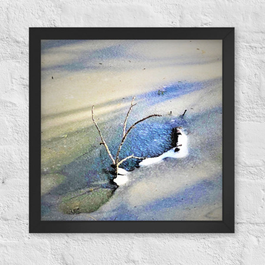 Branches arising from frozen pond - Framed
