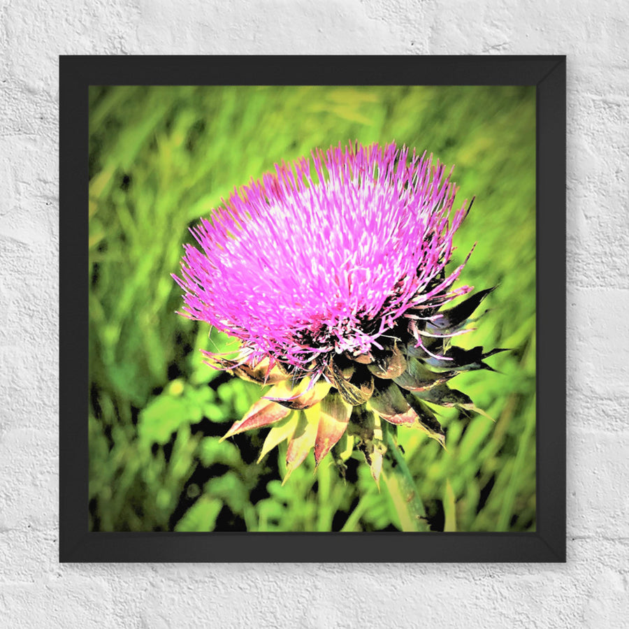Purple wild flower - Framed