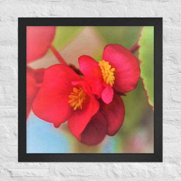 Double red flowers - Framed