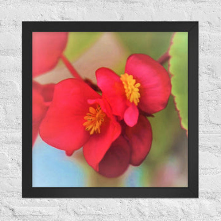 Double red flowers - Framed