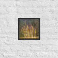 Impressions of tall grasses - Framed