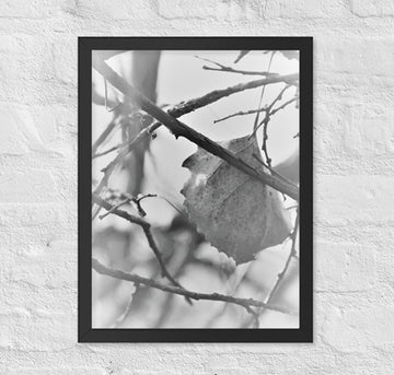 Last leaf on tree - Framed