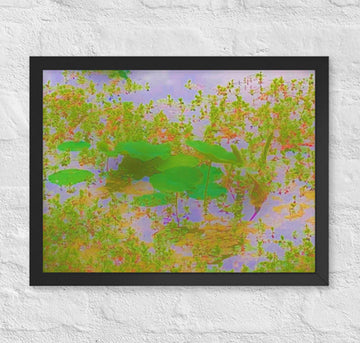 Water lilies - Framed