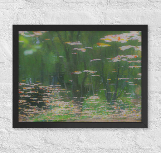 Reflections on a lake - Framed