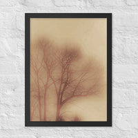 Soft focus tree - Framed