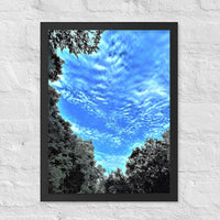Ascending clouds between trees - Framed
