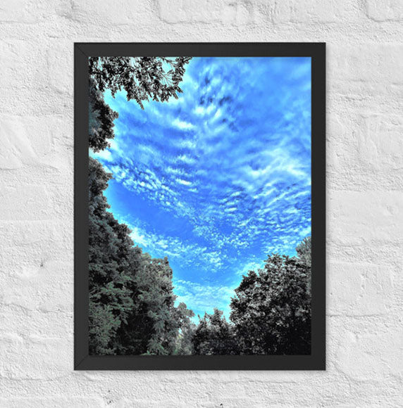 Ascending clouds between trees - Framed