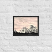 Trees in layered sky - Framed