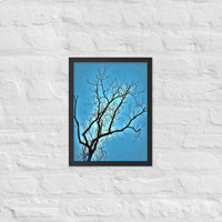 Bare tree against blue sky - Framed