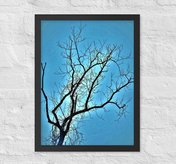 Bare tree against blue sky - Framed