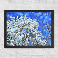 Flowering tree with matching dotted clouds - Framed