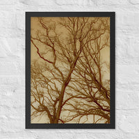 Intersecting trees - Framed