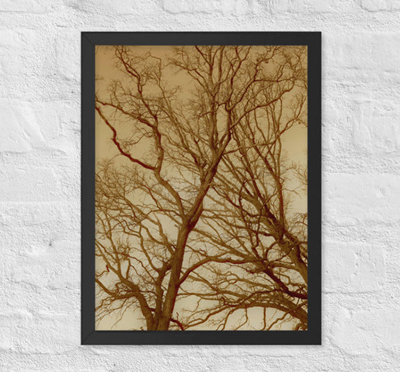 Intersecting trees - Framed