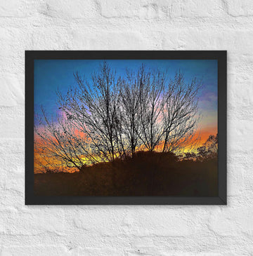 Sunrise behind tree top - Framed