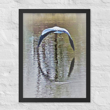 Flying bird with reflection - Framed
