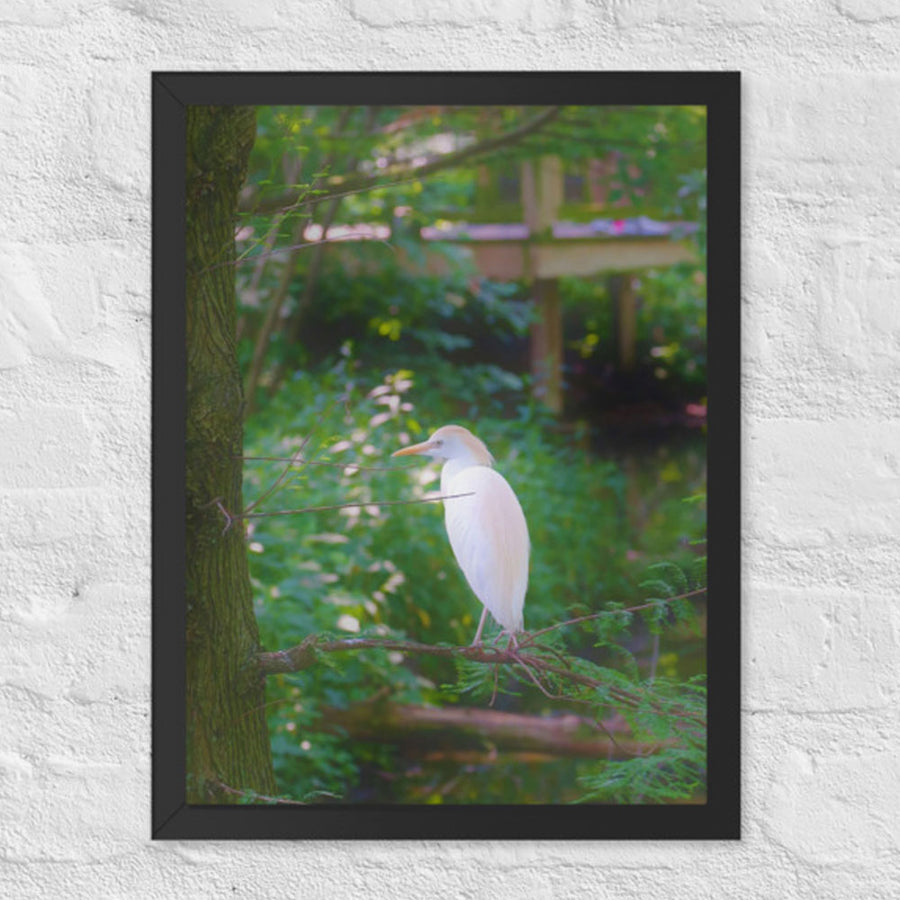 Bird on branch - Framed