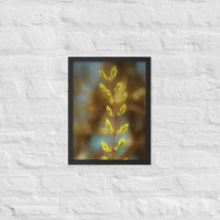 Young buds of leaves in sunlight- Framed