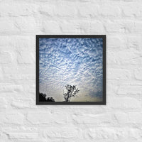 Tree top among clouds - Framed