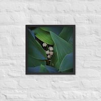 Lily of Valley among foliage - Framed